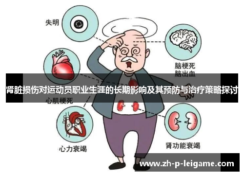 肾脏损伤对运动员职业生涯的长期影响及其预防与治疗策略探讨 肾脏损伤对运动员职业生涯的长期影响及其预防与治疗策略探讨