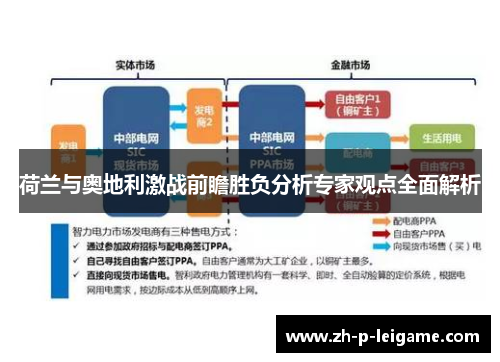 荷兰与奥地利激战前瞻胜负分析专家观点全面解析 荷兰与奥地利激战前瞻胜负分析专家观点全面解析